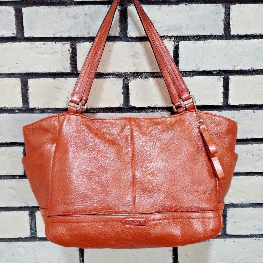 Coach shimmer Carry-all